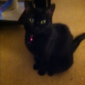 Meet your Posher, Mason